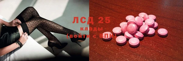 спиды Аркадак