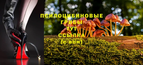 спиды Аркадак