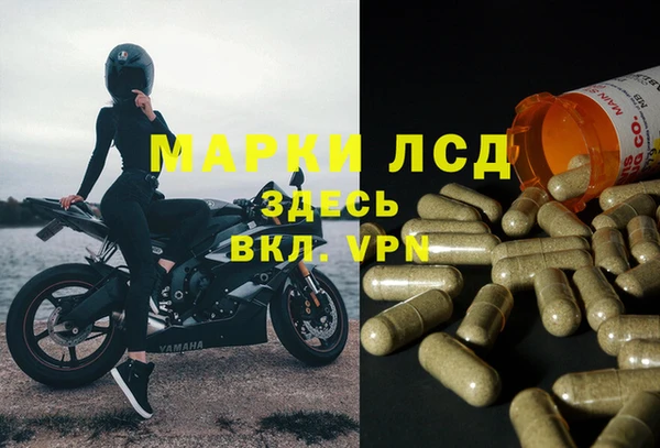 эйфоретик Армянск