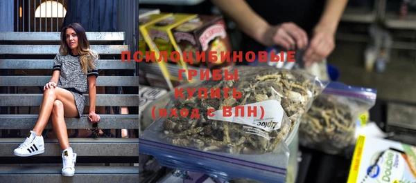 спиды Аркадак