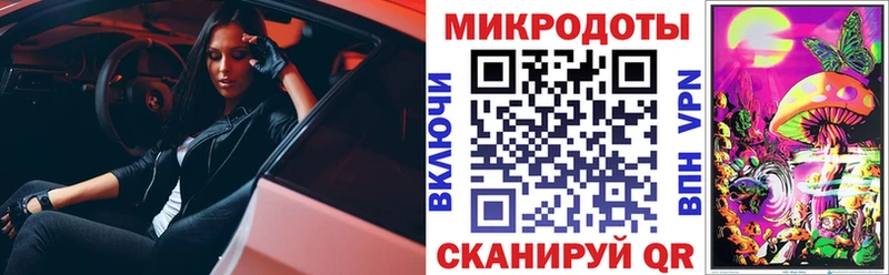 где можно купить   Курганинск  Псилоцибиновые грибы мицелий 